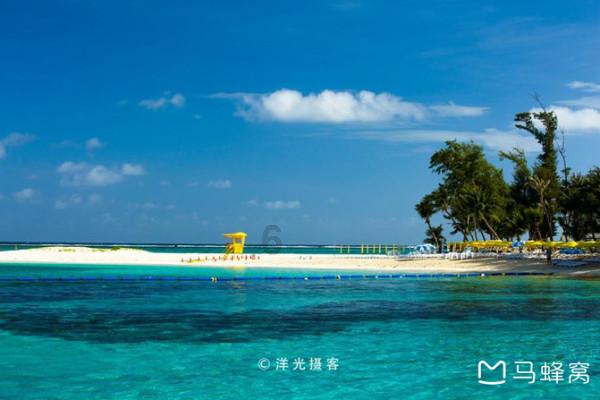 救援鹦鹉